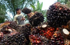 5 Berita Terpopuler, CPO Diprediksi dalam Tekanan Hingga Tahun Depan dan Nusa Dua Bali Dilanda Gempa 6,0 SR